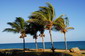 Cuba 2007